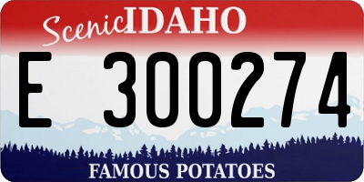 ID license plate E300274