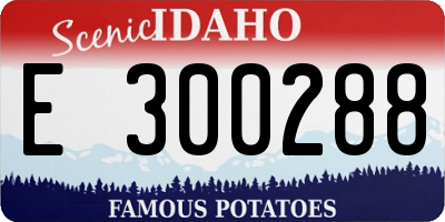 ID license plate E300288