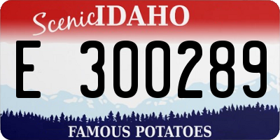 ID license plate E300289