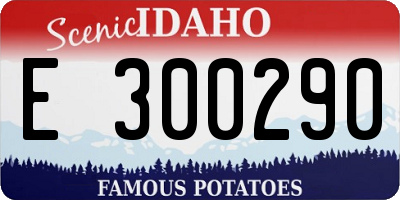 ID license plate E300290