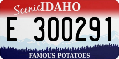 ID license plate E300291