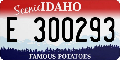 ID license plate E300293