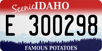ID license plate E300298