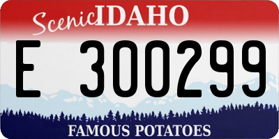 ID license plate E300299