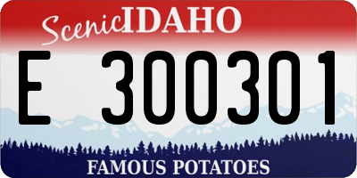 ID license plate E300301