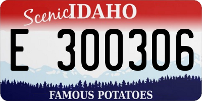 ID license plate E300306