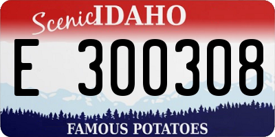 ID license plate E300308