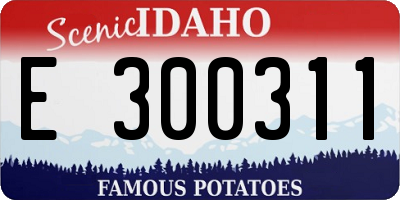 ID license plate E300311