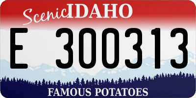ID license plate E300313