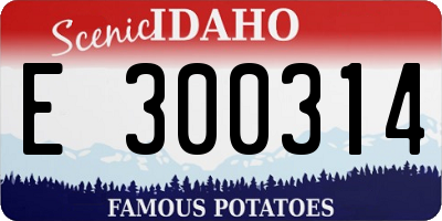 ID license plate E300314