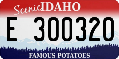 ID license plate E300320