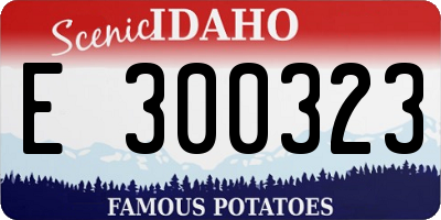 ID license plate E300323