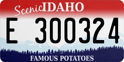 ID license plate E300324