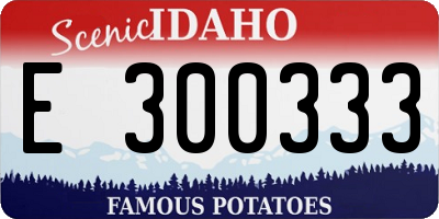 ID license plate E300333