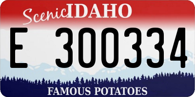 ID license plate E300334