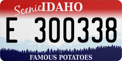 ID license plate E300338