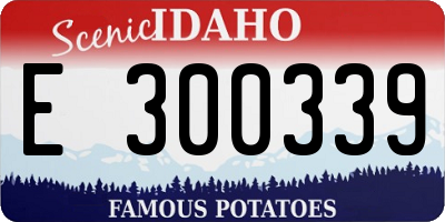 ID license plate E300339