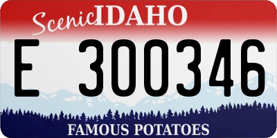 ID license plate E300346