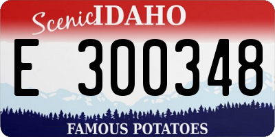 ID license plate E300348