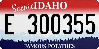 ID license plate E300355