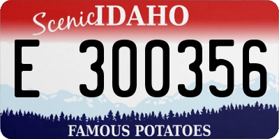 ID license plate E300356