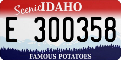 ID license plate E300358