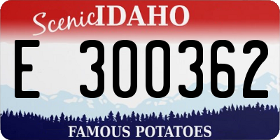 ID license plate E300362