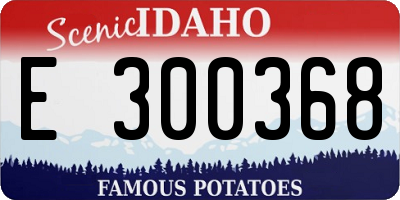 ID license plate E300368
