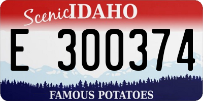 ID license plate E300374