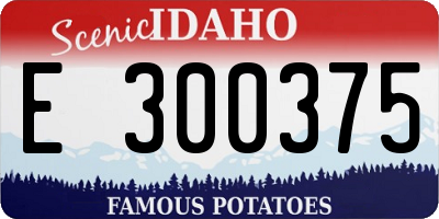 ID license plate E300375