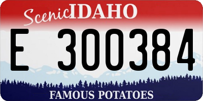 ID license plate E300384