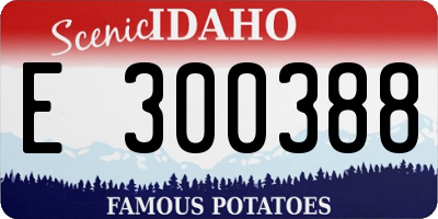 ID license plate E300388