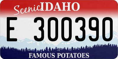 ID license plate E300390