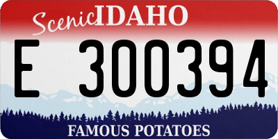 ID license plate E300394