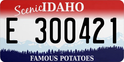 ID license plate E300421