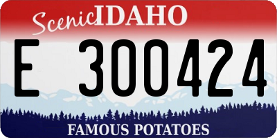 ID license plate E300424