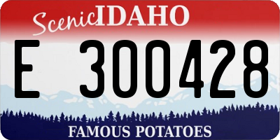 ID license plate E300428