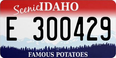 ID license plate E300429