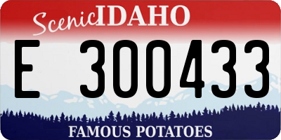 ID license plate E300433