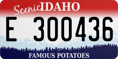 ID license plate E300436