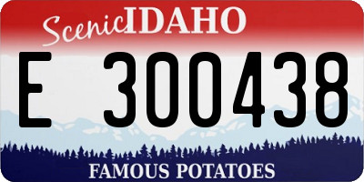 ID license plate E300438