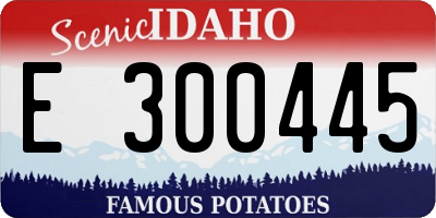 ID license plate E300445