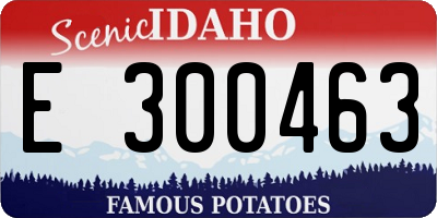 ID license plate E300463