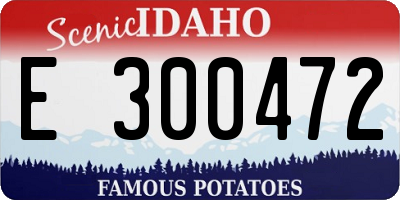 ID license plate E300472