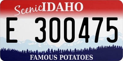 ID license plate E300475