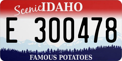 ID license plate E300478