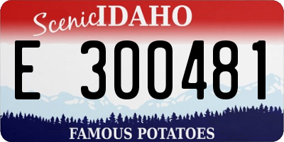 ID license plate E300481