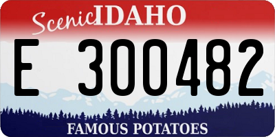 ID license plate E300482