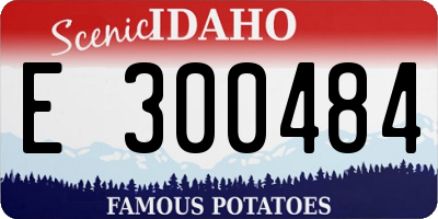 ID license plate E300484
