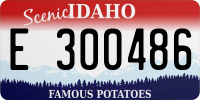 ID license plate E300486